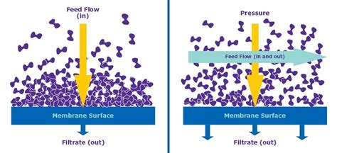 Tangential Flow Filtration In Downstream Bioprocessing