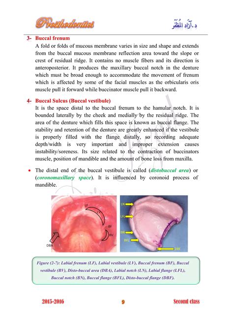 Essentials Of Complete Denture Prosthodontics 3 Ed 3