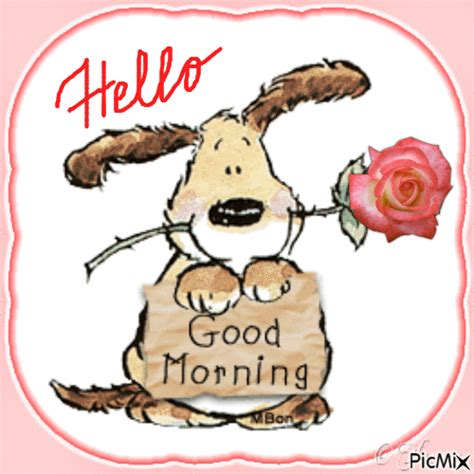 Hello Good Morning  Pictures Photos And Images For Facebook