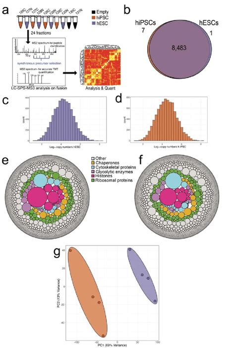 Proteomic Overview A Diagram Showing The Sps Ms Tmt Proteomic