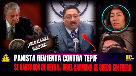 SE HARTAN DE REYNA URIEL CARMONA SIN FUERO PANISTA VS TEPJF AMLO