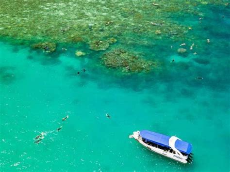 Inspiring 1 Day Airlie Beach Snorkeling Tour With ZigZag