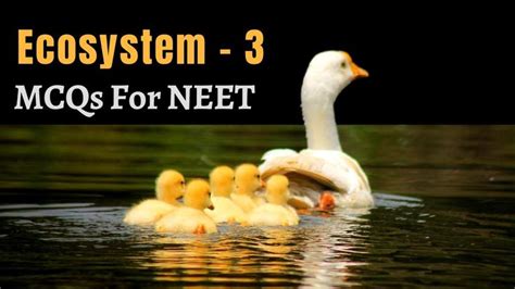 Class Xi Biology Mcqs For Neet Ecosystem Part By Shiksha House