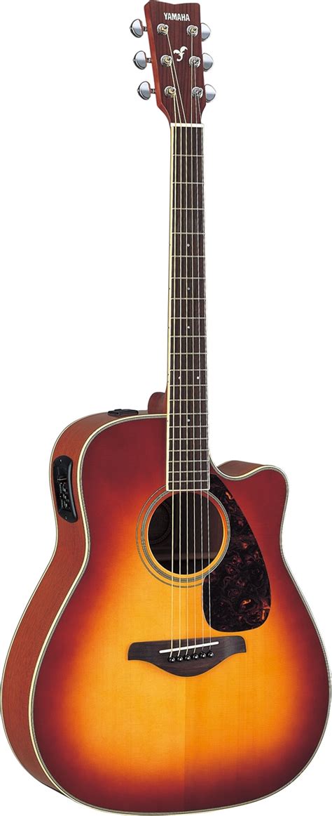 5 Cây Guitar Acoustic Tốt Nhất Cho Người Mới Tập Chơi Đàn Guitar