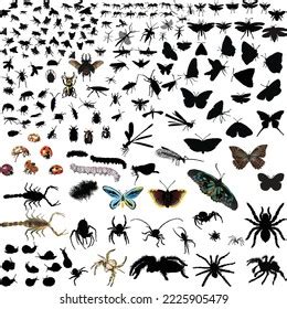 Illustration Insect Silhouettes Isolated On White Stock Vector Royalty