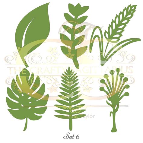 Set Svg Png Dxf Different Leaves For Paper Flowers Etsy