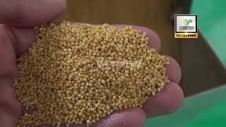 Iron Roller Millet Sorghum Peeling Polishing Machine Lushan Win Tone