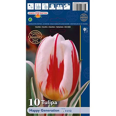 Tulip Happy Generation Sibulad Osta Soodsamalt Gradinamax Ee