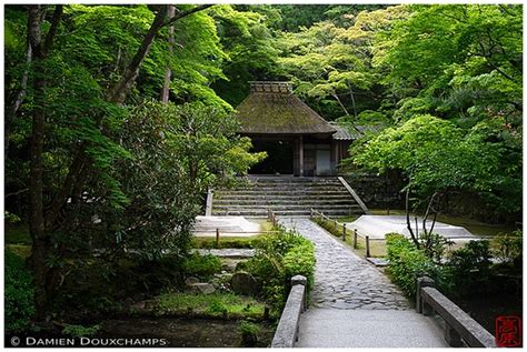 Gate at Honen-in Temple - Inside Kyoto