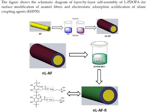 Polymers Free Full Text Layer By Layer Self Assembly Strategy For