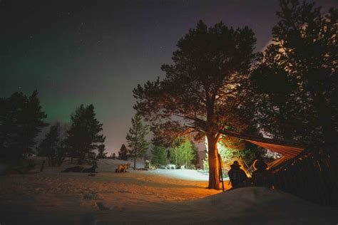 Northern Lights Dog Sledding Adventures in Norway | Norwegian Travel