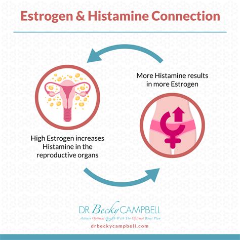 Estrogen And Histamine Dr Becky Campbell