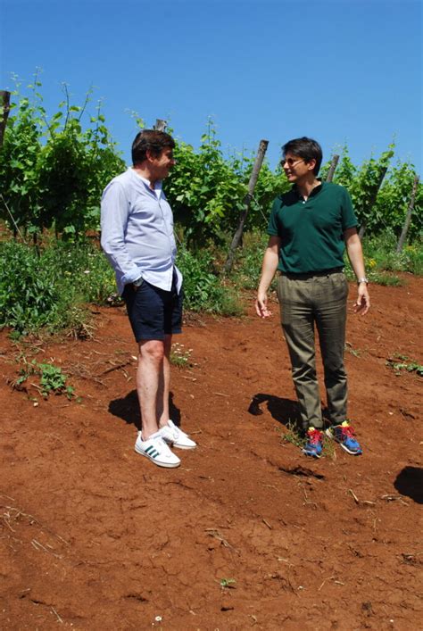 Carpineti Terrae Il Sogno Di Una Cantina Del Lazio Diventata Realt