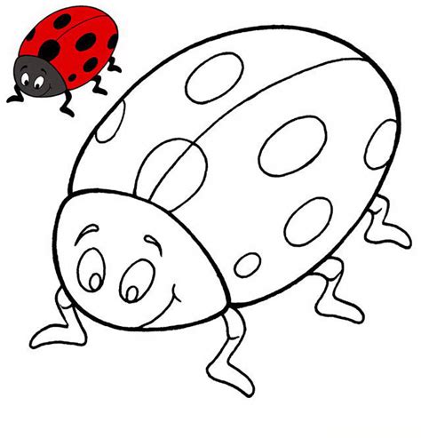 Coccinelle Disegni Da Colorare