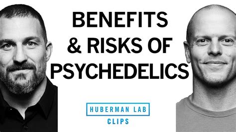 Personal Experience Benefits And Risks Of Psychedelics Tim Ferriss And Dr Andrew Huberman Youtube