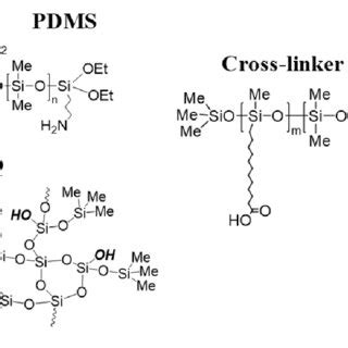 D Saxs Diffraction Patterns For Pristine A And Annealed B Pdms A