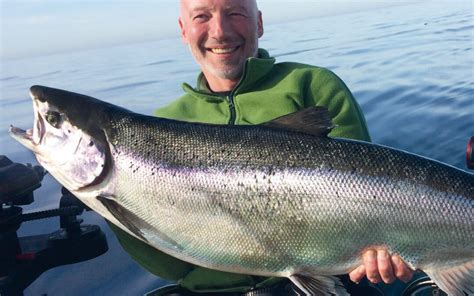 N R Laksen Er I Havet Fisk Fri