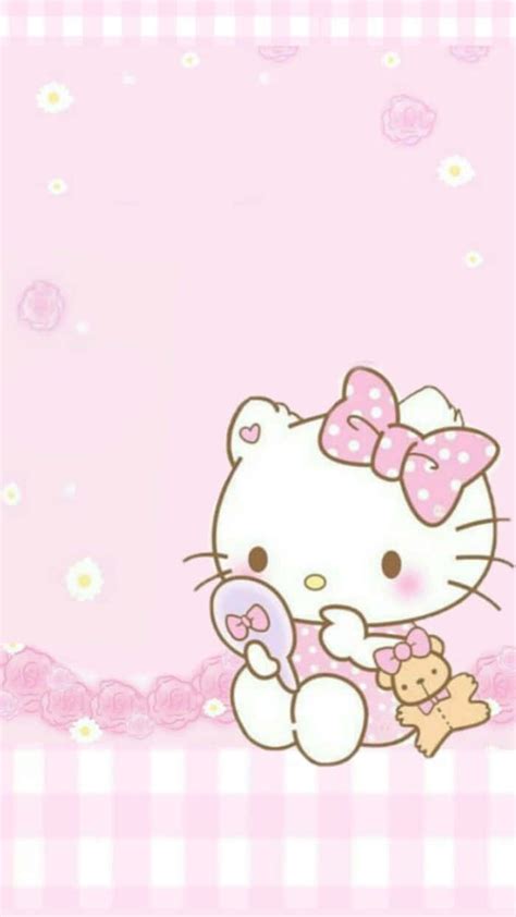 Download Cute Pink Hello Kitty Mirror And Bear Wallpaper | Wallpapers.com