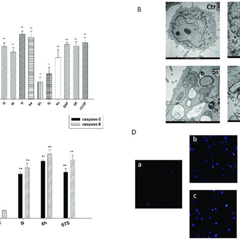 Antimitochondrial Effect And Induction Of Caspase Dependent Apoptosis