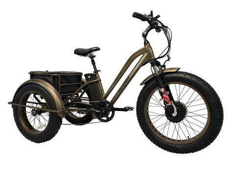 Fat Tire Electric Tricycle E Trike Triciclo Electrico 3 Wheels Cargo