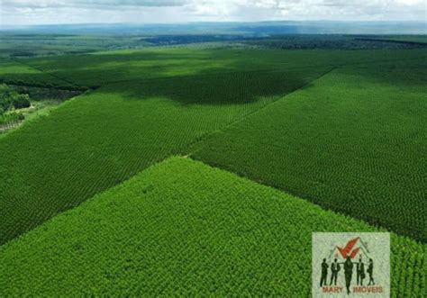 Fazendas à venda em Ninheira MG Chaves na Mão