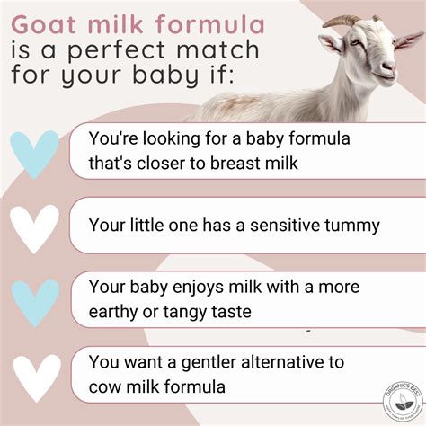 Benefits Of Goat Milk Vs Cow Milk Artofit