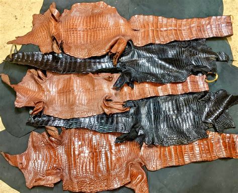 Crocodile Skins Archives Mick S Whips