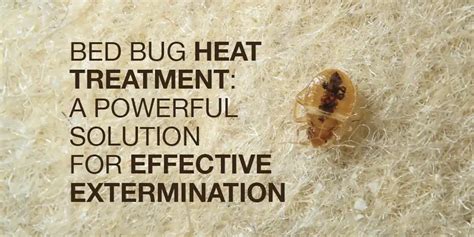 Bed Bug Heat Treatment A Powerful Solution For Effective Extermination