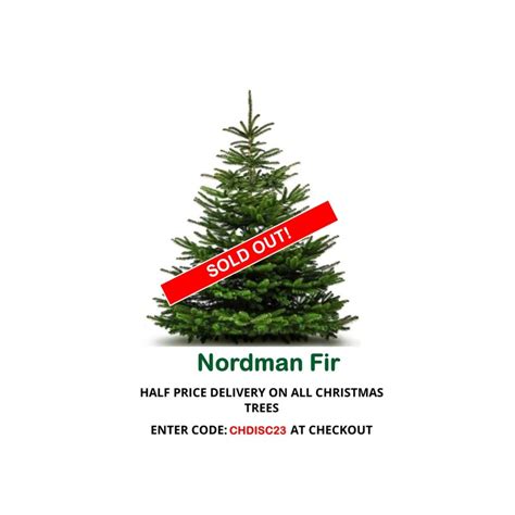 Nordman Fir Standard Christmas Tree Abies Nordmanniana 175200cm