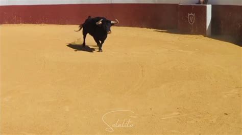 Midilibretoros On Twitter En Marge De La Pr Sentation De La Feria De