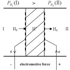 Illustrative diagram of hydrogen concentration cell | Download ...