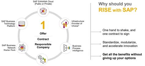 What Is Rise With Sap Finding The Right Fit For Your Business