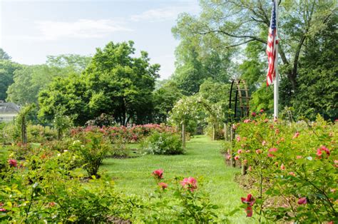 Connecticuts Historic Rose Gardens Connecticut Explored