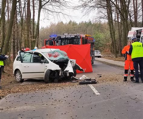 Wypadek Na Trasie Zakrzew Golina Nie Yje Letni Kierowca Nie Mia