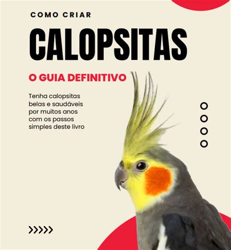 Ebook Como Criar Calopsitas Calopsitabrasil