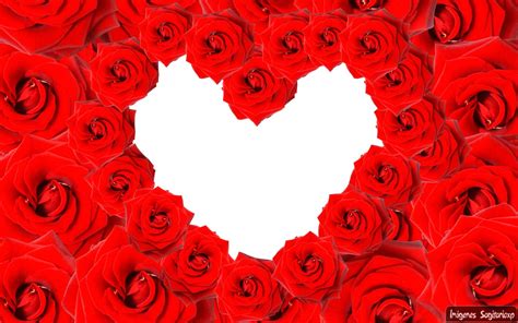 Wallpaper Corazones Rosas Imagui