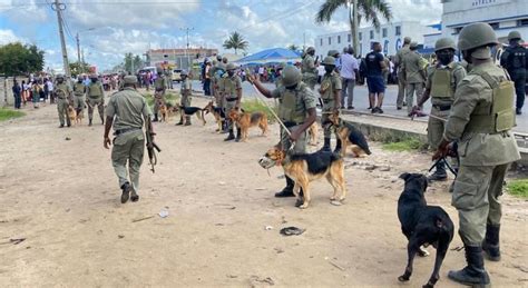 A Obedi Ncia Canina Das Fds E O Estado De Direito Vida Nova