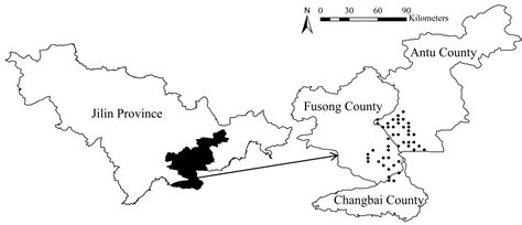 Forests Free Full Text Relationship Between Tree Richness And