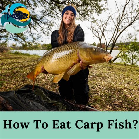 How To Eat Carp Fish? (What Does Carp Taste Like?)