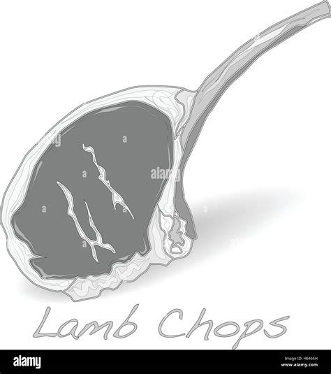 Raw Lamb Chops Vector Isolated Stock Vector Image And Art Alamy