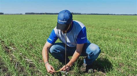 Qué significa soñar con trabajar en el campo Descubre el significado