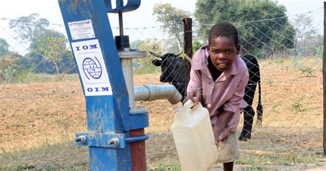 Migration Management Iom Zimbabwe Un Migration Iom Zimbabwe