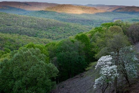 Spring In The Ozarks Photograph By Terry Olsen