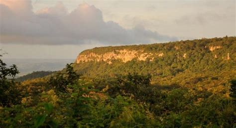 Chapada Do Araripe Primeira Floresta Nacional Pode Ser Reconhecida