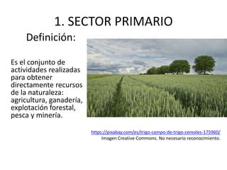 Las Actividades Primarias PPT Descarga Gratuita