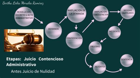 Etapas Juicio De Nulidad By Lidia Morales On Prezi