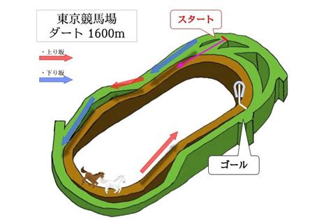 東京競馬場 ダート1600mの特徴と攻略情報まとめ｜初心者向けにわかりやすく解説！｜うましる