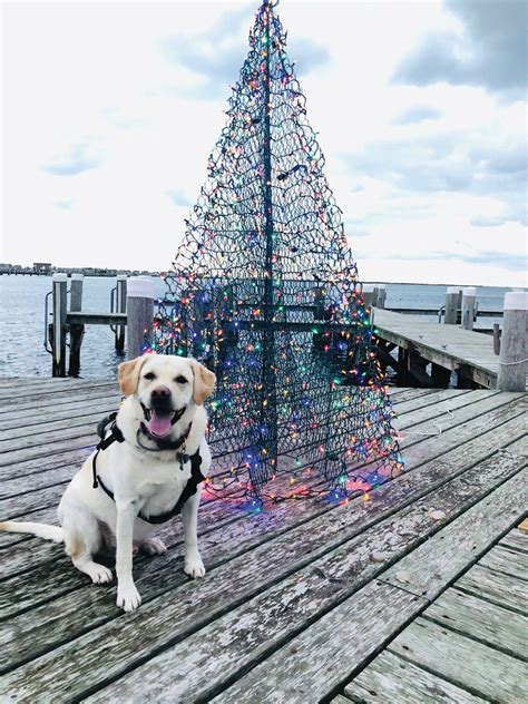 Latest Obituaries and Memorial Services from The Inquirer and Mirror 38