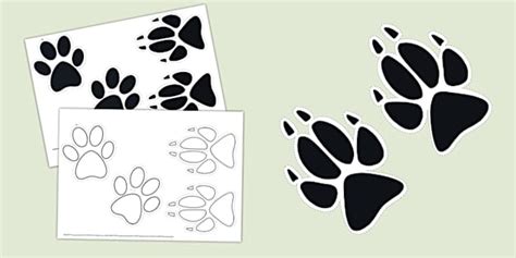 Wolf Footprint Display Cut Outs Creat De Profesori