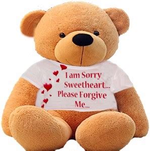 Hug N Feel Soft Toys Big Teddy Bear Wearing I Am Sorry Sweetheart